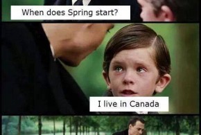 Spring-funny