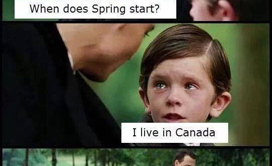 Spring-funny