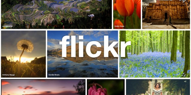 Flickr iOS updated for iPad