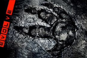 Evolve Review Cover