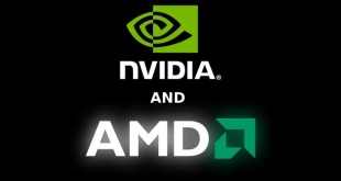 Nvidia and AMD cards comparison