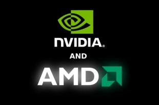 Nvidia and AMD cards comparison