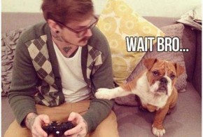 gamer-dog-funny
